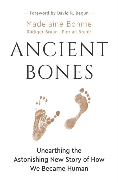 Ancient Bones : Unearthing the Astonishing New Story of How We Became Human, Paperback / softback Book