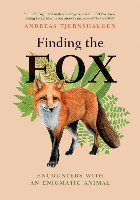 Finding the Fox : Encounters With an Enigmatic Animal, EPUB eBook