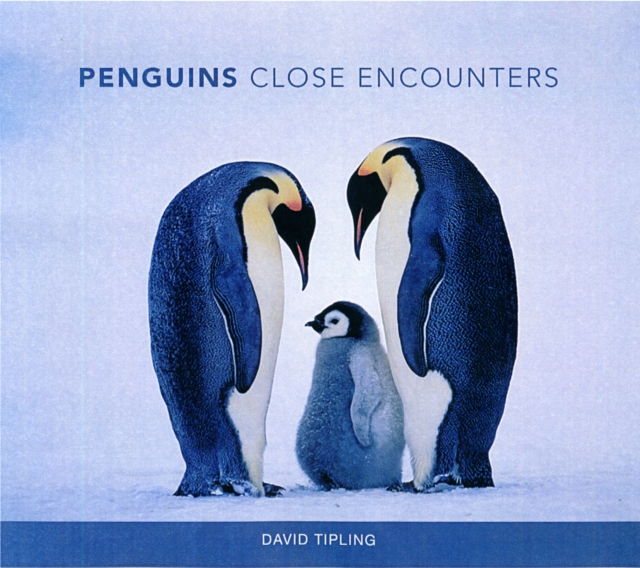 Penguins : Close Encounters, Hardback Book