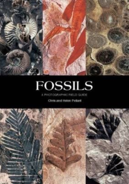 Fossils : A Photographic Field Guide, Paperback Book