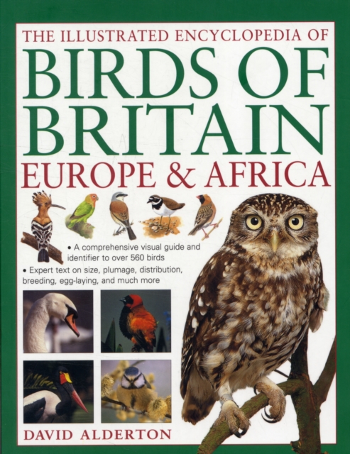 Illustrated Encyclopedia of Birds of Britain, Europe & Africa, Paperback / softback Book