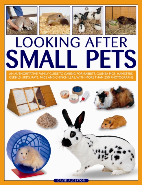 Looking After Small Pets, Paperback / softback Book