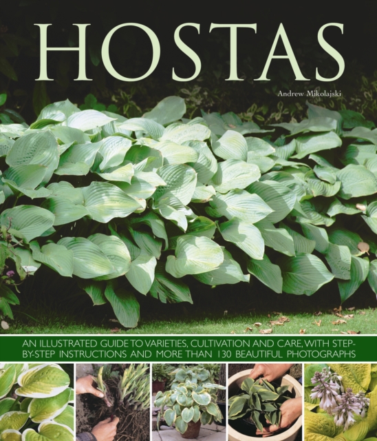 Hostas : an Illustrated Guide to Varieties, Cultivation and Care, with Step-by-step Instructions and More Than 130 Beautiful Photographs, Paperback / softback Book