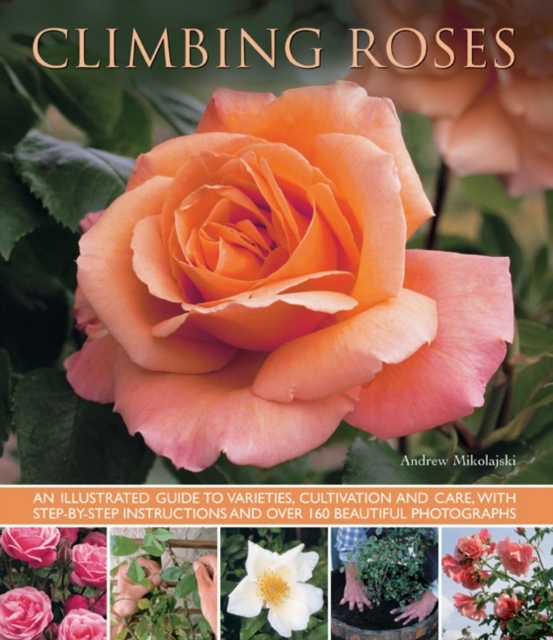 Climbing Roses, Paperback / softback Book