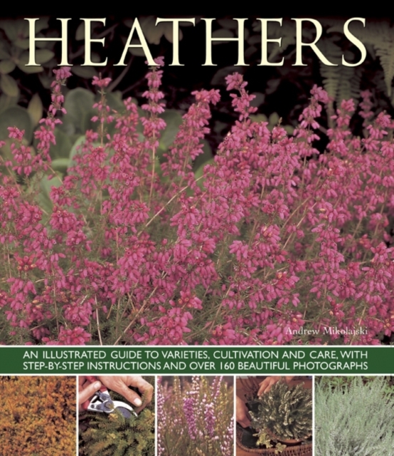 Heathers : An Illustrated Guide to Varities, Cultivation and Care, with Step-by-step Instructions and Over 160 Beautiful Photographs, Paperback / softback Book