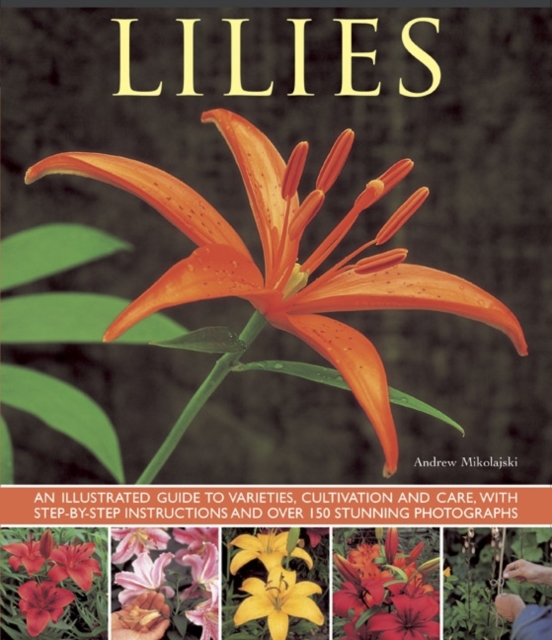 Lilies : An Illustrated Guide to Varieties, Cultivation and Care, with Step-by-step Instructions and Over 150 Stunning Photographs, Paperback / softback Book