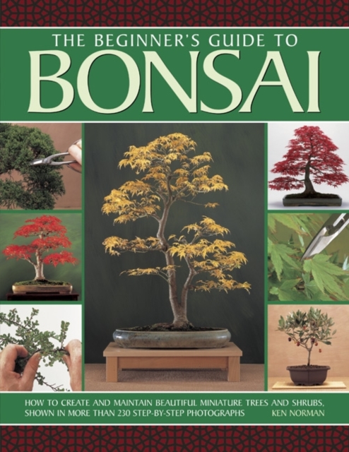 Beginner's Guide to Bonsai, Paperback / softback Book