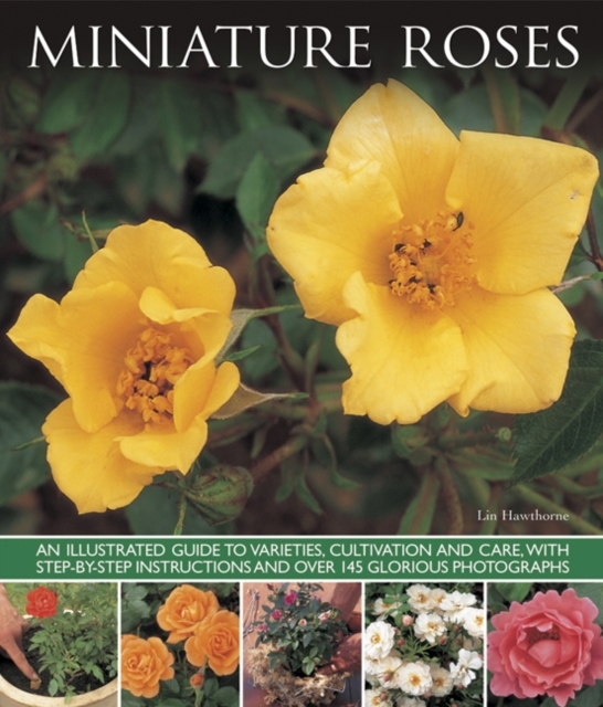 Miniature Roses, Paperback / softback Book