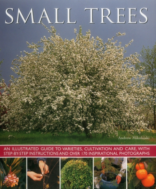 Small Trees, Paperback / softback Book