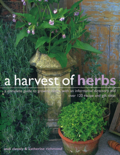 Harvest of Herbs, Paperback / softback Book