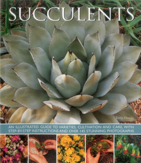 Succulents, Hardback Book