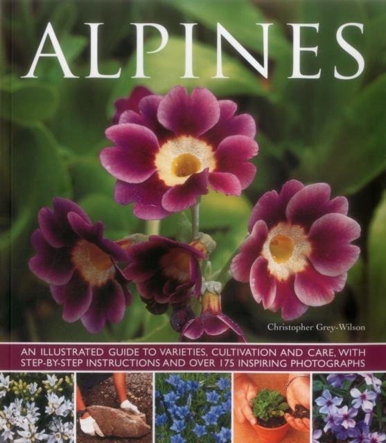 Alpines, Paperback / softback Book