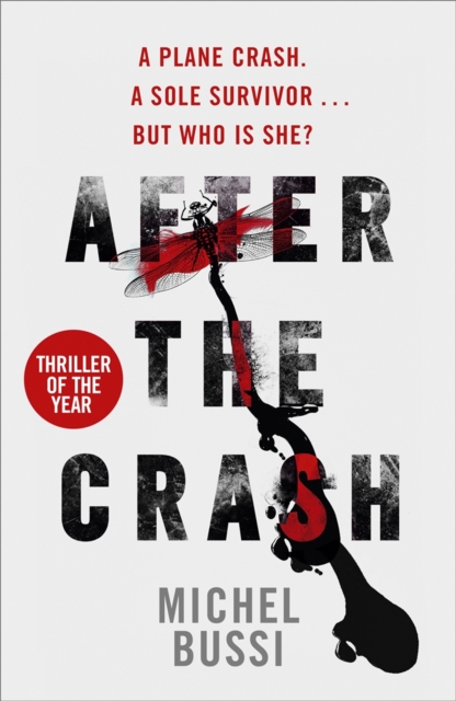 After the Crash, Paperback / softback Book