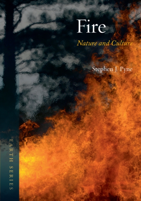 Fire : Nature and Culture, EPUB eBook