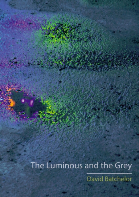 The Luminous and the Grey, Paperback / softback Book