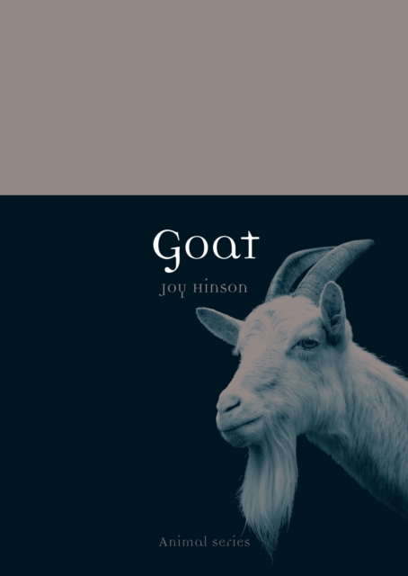 Goat, Paperback / softback Book