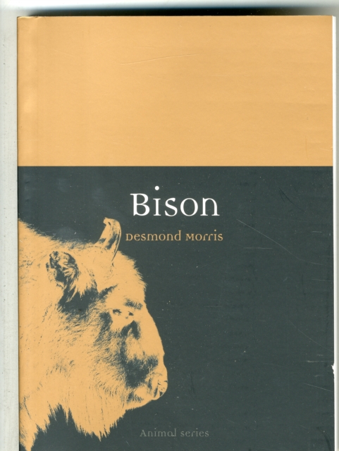 Bison, Paperback / softback Book