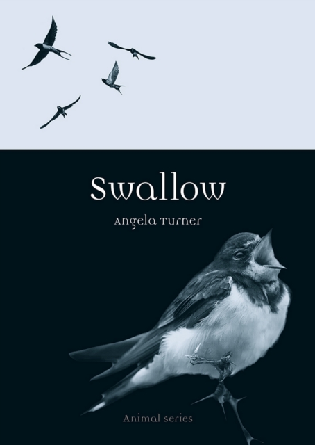 Swallow, EPUB eBook