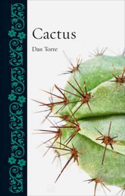 Cactus, Hardback Book
