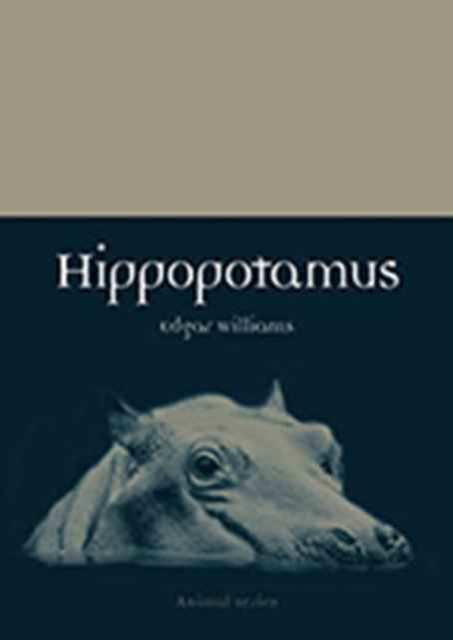 Hippopotamus, Paperback / softback Book
