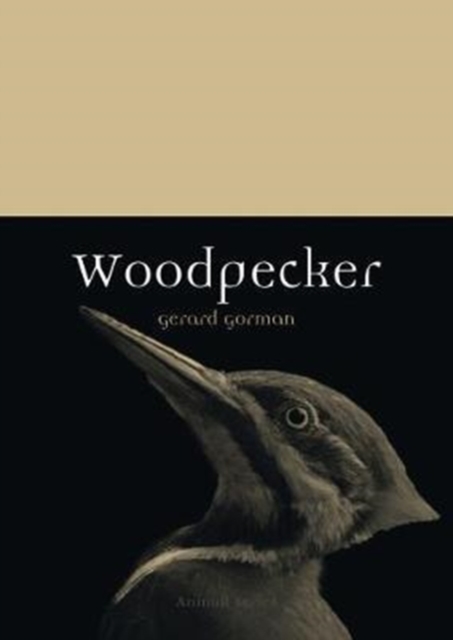 Woodpecker, Paperback / softback Book