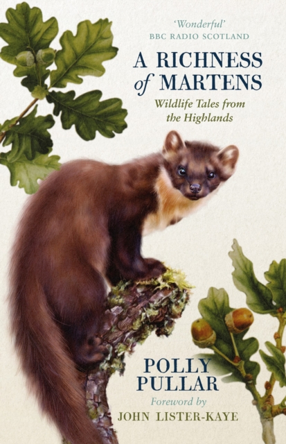 A Richness of Martens : Wildlife Tales from the Highlands, Paperback / softback Book