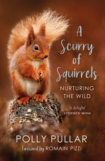 A Scurry of Squirrels : Nurturing The Wild, Paperback / softback Book