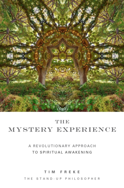 Mystery Experience, EPUB eBook
