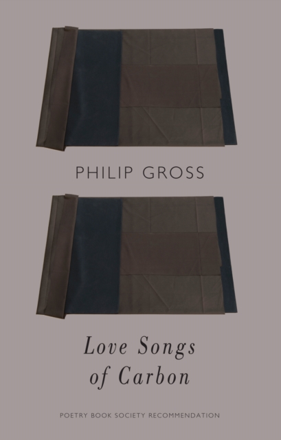 Love Songs of Carbon, EPUB eBook