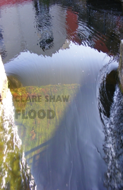 Flood, Paperback / softback Book