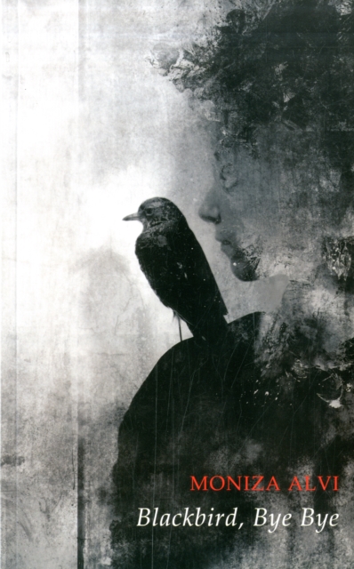 Blackbird, Bye Bye, Paperback / softback Book