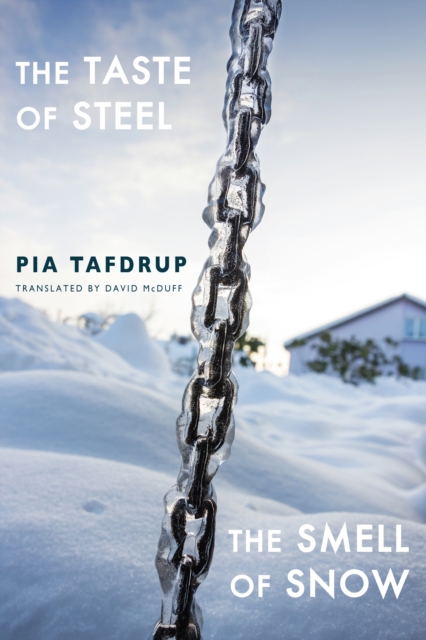 The Taste of Steel * The Smell of Snow : Smagen af stal * Lugten af sne, EPUB eBook