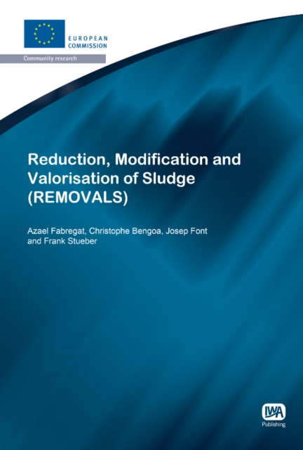 Reduction, Modification and Valorisation of Sludge, PDF eBook