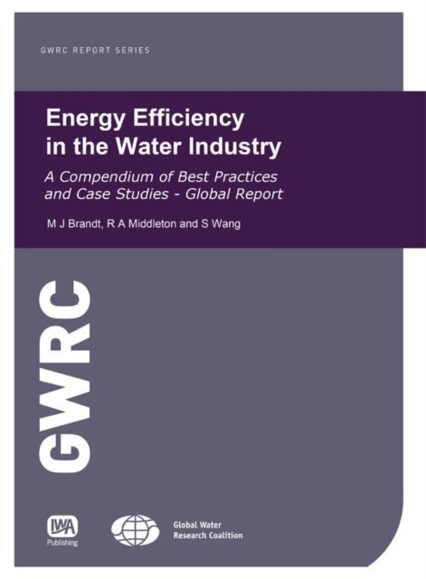 Energy Efficiency in the Water Industry, PDF eBook