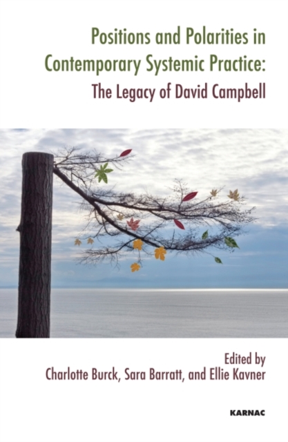 Positions and Polarities in Contemporary Systemic Practice : The Legacy of David Campbell, Paperback / softback Book