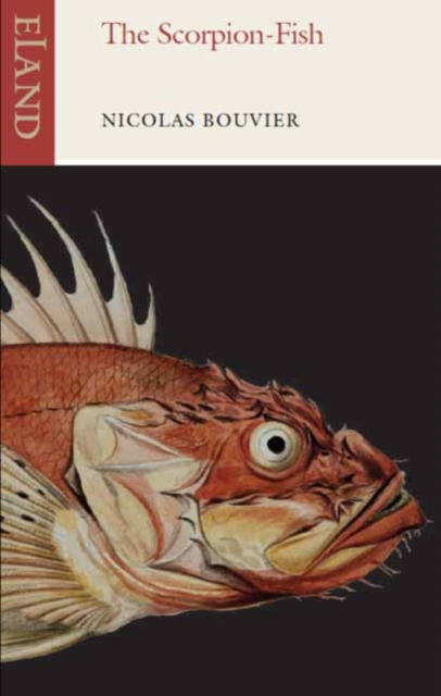 The Scorpion-Fish, Paperback / softback Book