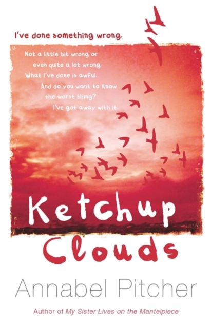 Ketchup Clouds, Hardback Book