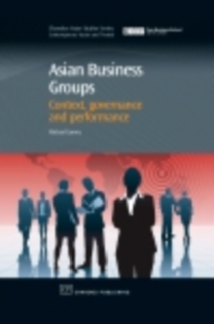 Asian Business Groups : Context, Governance and Performance, EPUB eBook