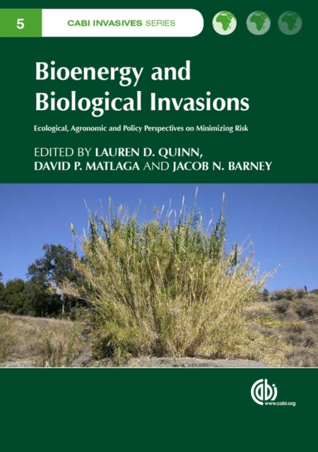 Bioenergy and Biological Invasions : Ecological, Agronomic and Policy Perspectives on Minimizing Risk, Hardback Book