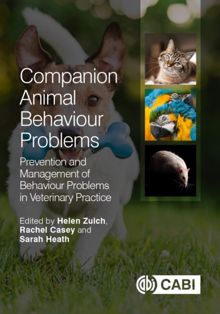 Companion Animal Behaviour Problems : Prevention and Management of Behaviour Problems in Veterinary Practice, Hardback Book