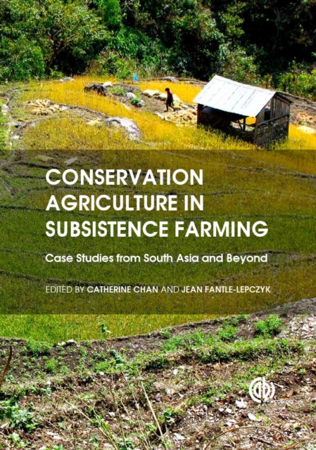 Conservation Agriculture in Subsistence Farming : Case Studies from South Asia and Beyond, Hardback Book
