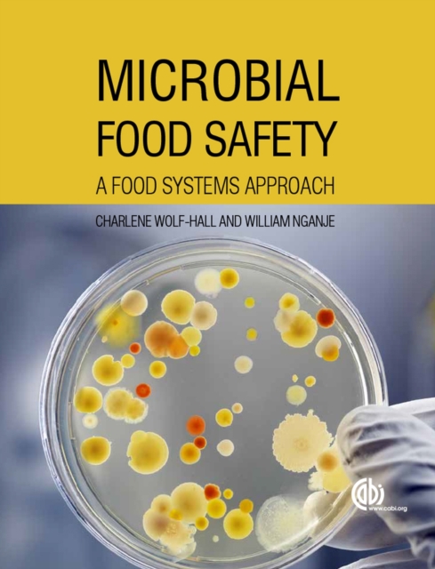 Microbial Food Safety : A Food Systems Approach, Paperback / softback Book
