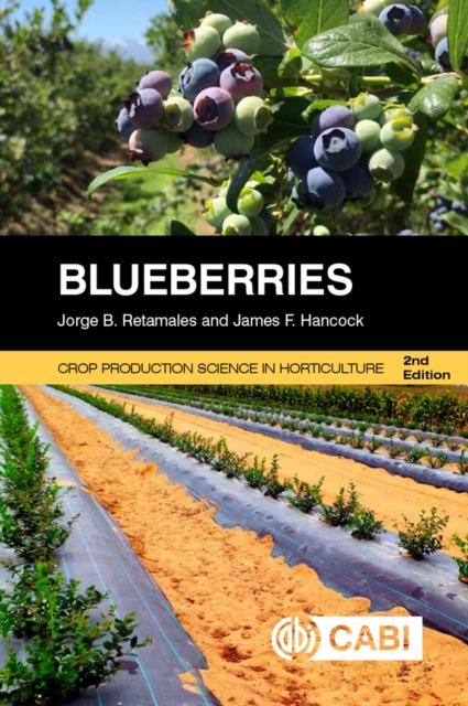 Blueberries, Paperback / softback Book