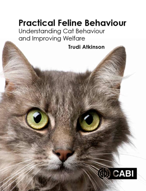 Practical Feline Behaviour : Understanding Cat Behaviour and Improving Welfare, Paperback / softback Book