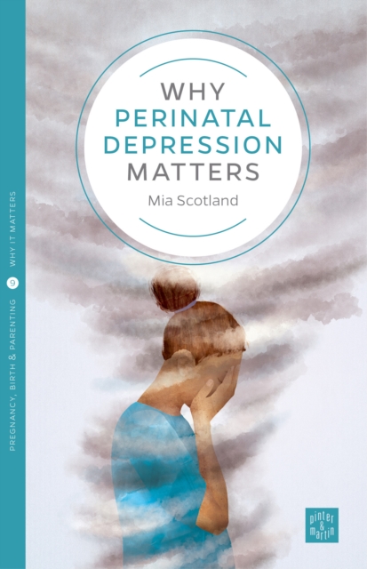 Why Postnatal Depression Matters, EPUB eBook