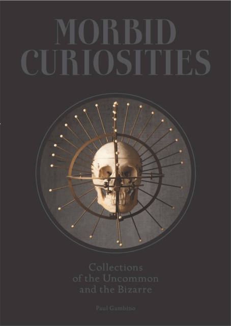 Morbid Curiosities : Collections of the Uncommon and the Bizarre, Hardback Book