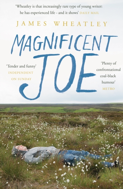 Magnificent Joe, Paperback / softback Book