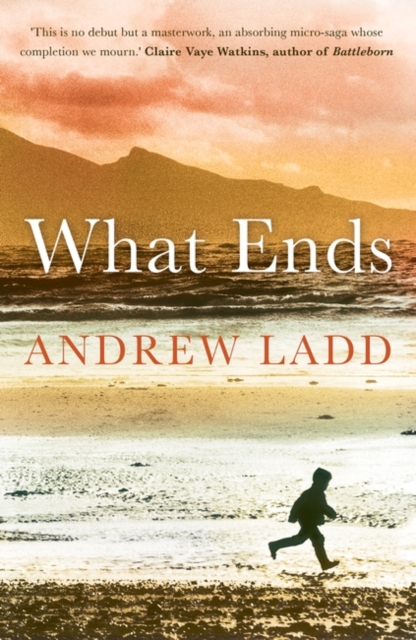 What Ends, Paperback / softback Book