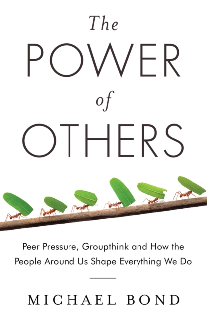 The Power of Others : Peer Pressure, Groupthink, and How the People Around Us Shape Everything We Do, Paperback / softback Book