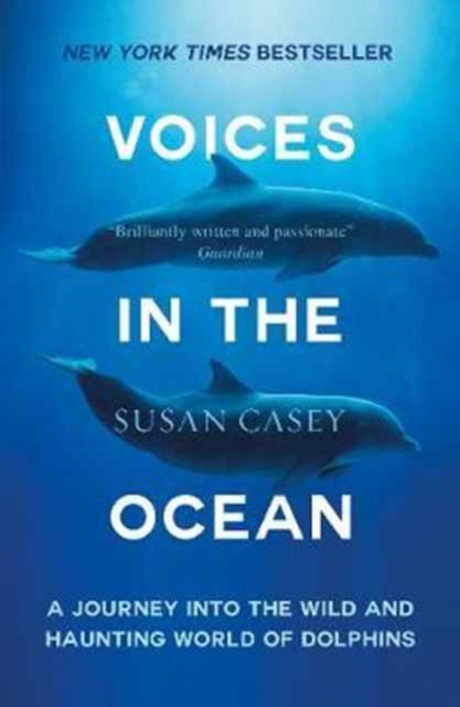 Voices in the Ocean : A Journey into the Wild and Haunting World of Dolphins, Paperback / softback Book